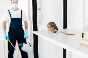 Residential pest control services for homes in Gauteng